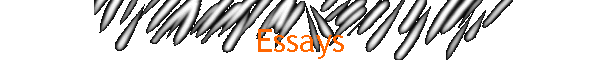 Essays